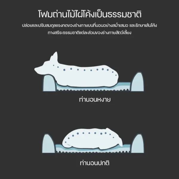 PETKIT Four Season Sleep Bed - Image 2
